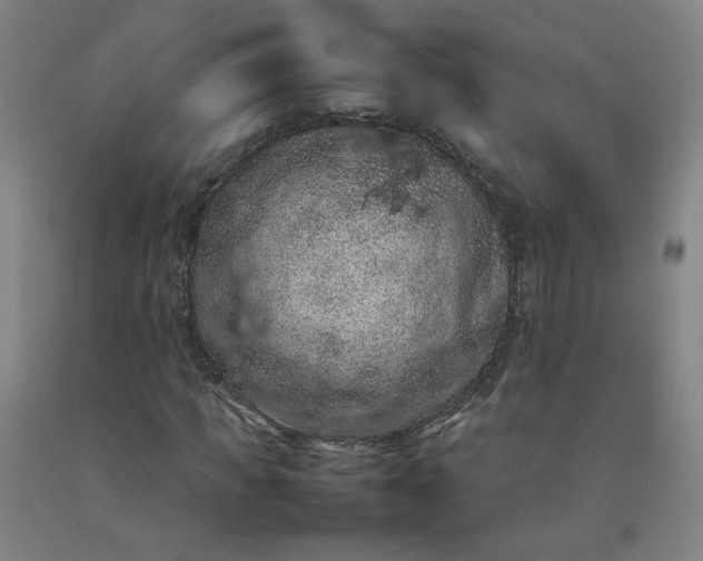 X0000092220917200709281040