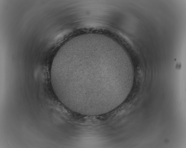 X0000092220918200709281040