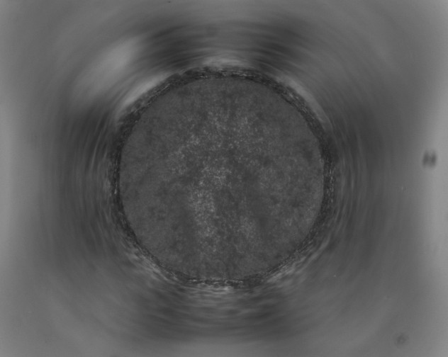 X0000092220919200709281040