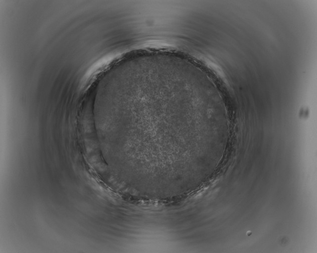 X0000092220920200709281040