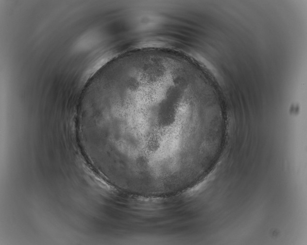 X0000092220921200709281040