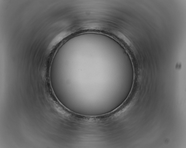 X0000092220922200709281040