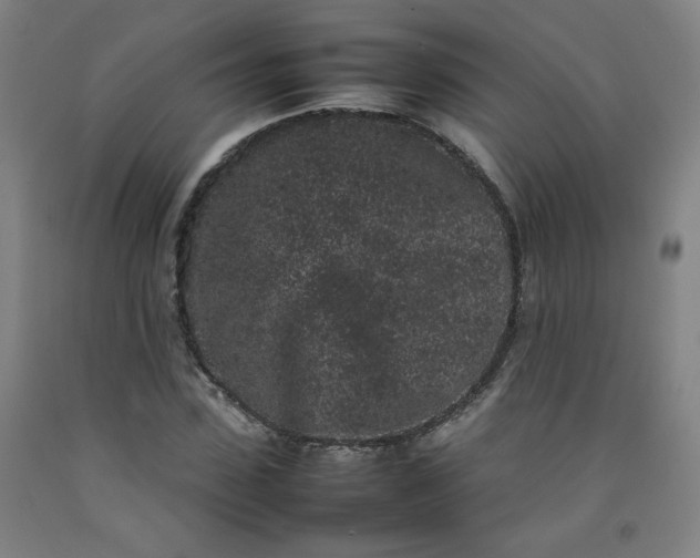 X0000092220923200709281040