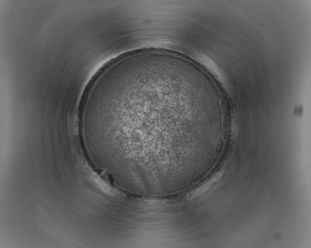 X0000092220924200709281040