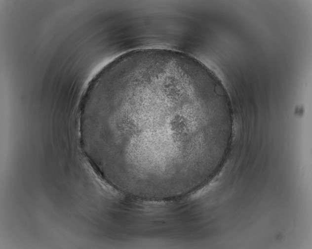 X0000092220925200709281040