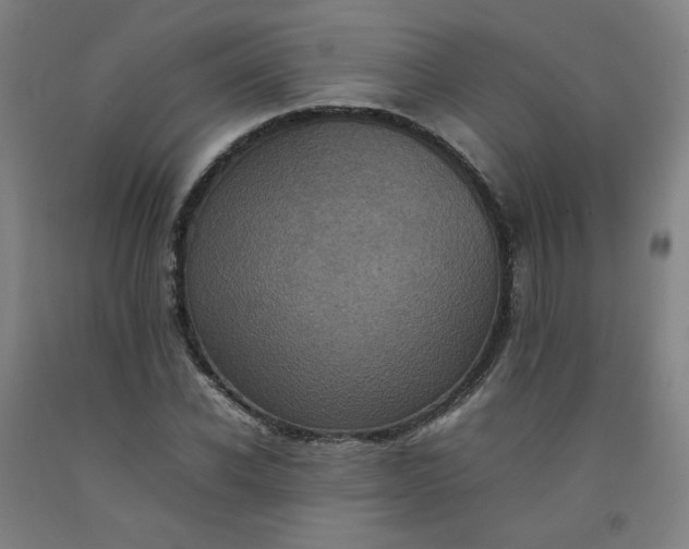 X0000092220926200709281040