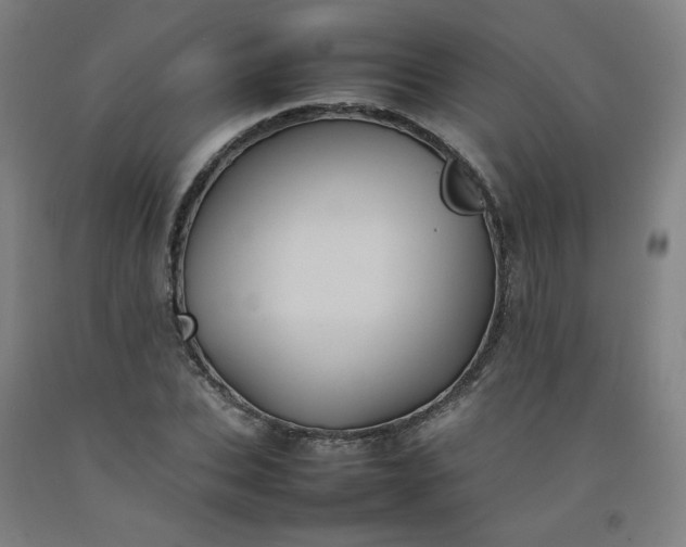 X0000092220927200709281040