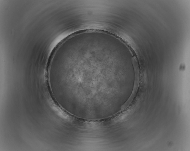X0000092220928200709281040