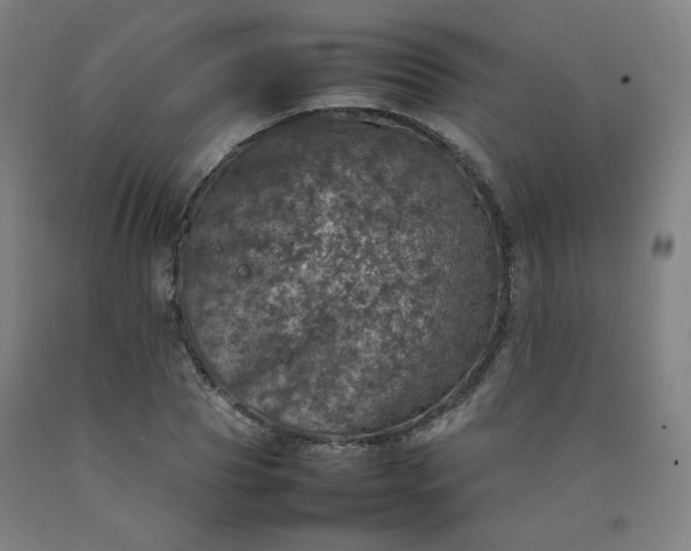 X0000092220929200709281040
