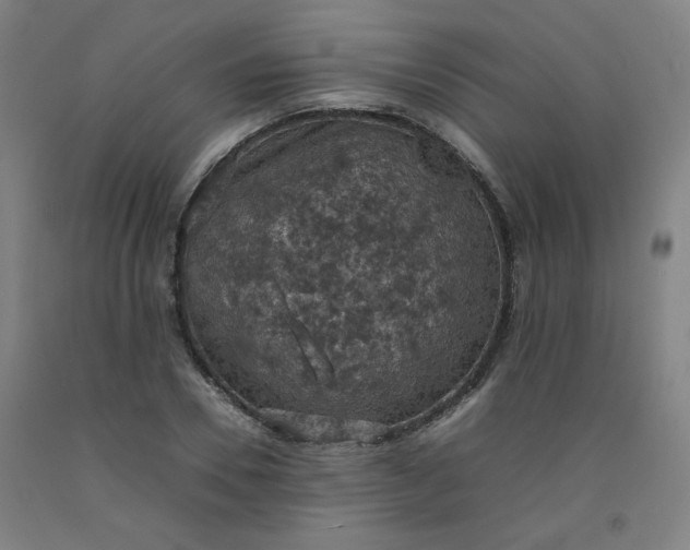 X0000092220930200709281040