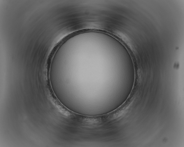X0000092220931200709281040