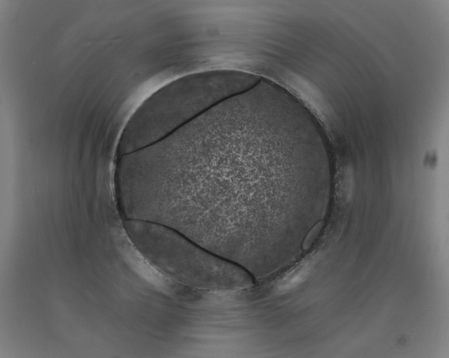 X0000092220932200709281040