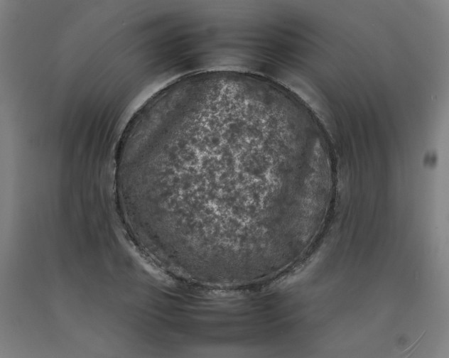 X0000092220933200709281040