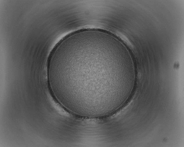 X0000092220934200709281040