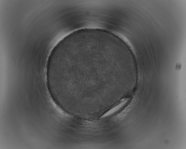 X0000092220935200709281040