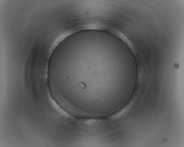 X0000092220938200709281040