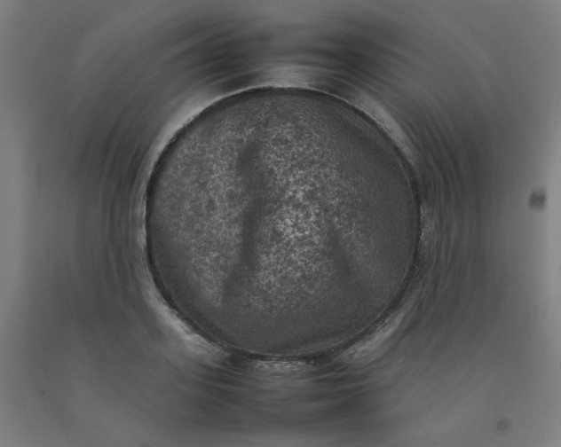 X0000092220939200709281040