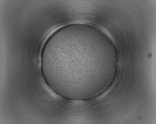 X0000092220940200709281040