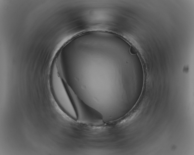 X0000092220941200709281040
