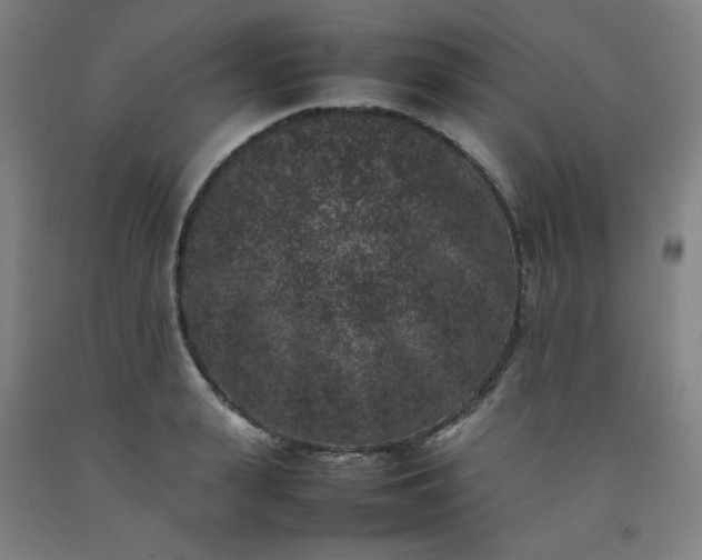 X0000092220943200709281040