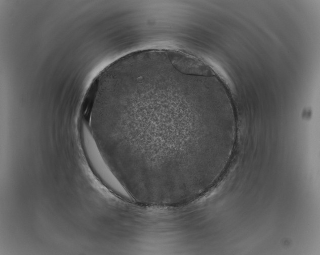 X0000092220944200709281040