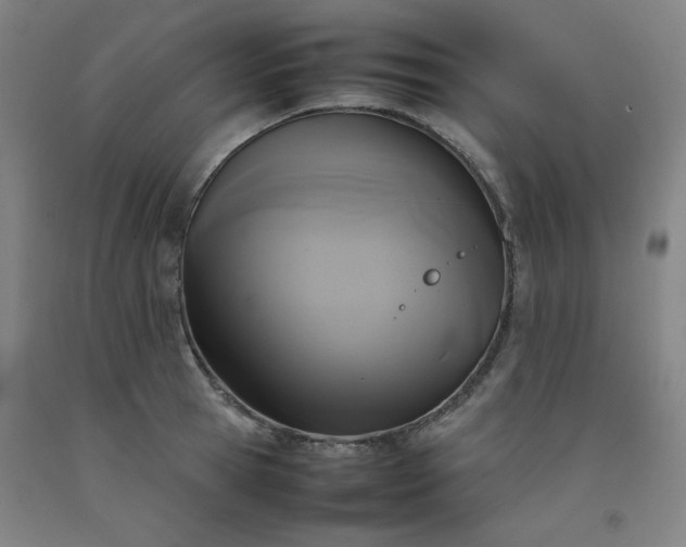 X0000092220945200709281040