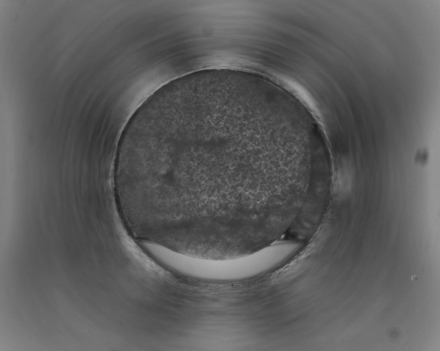 X0000092220946200709281040