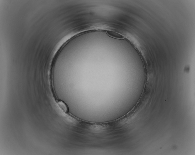 X0000092220947200709281040