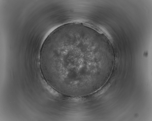 X0000092220948200709281040