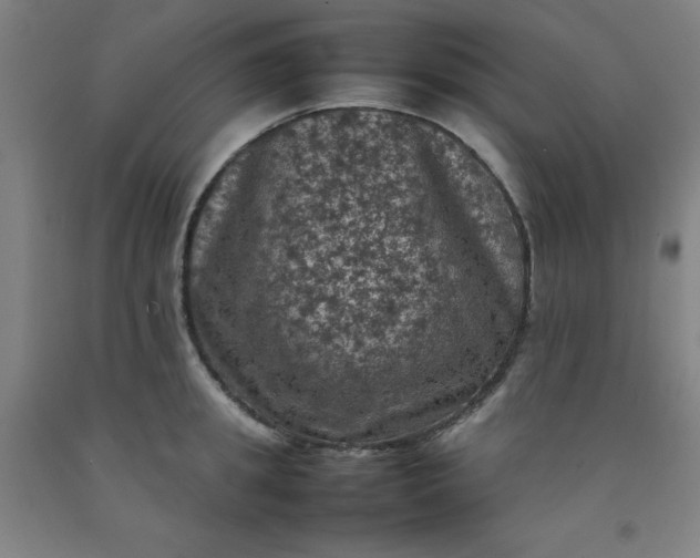 X0000092220949200709281040
