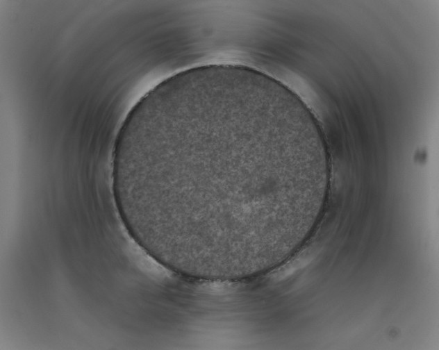 X0000092220950200709281040