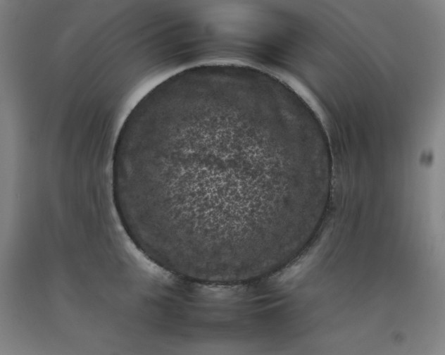 X0000092220951200709281040