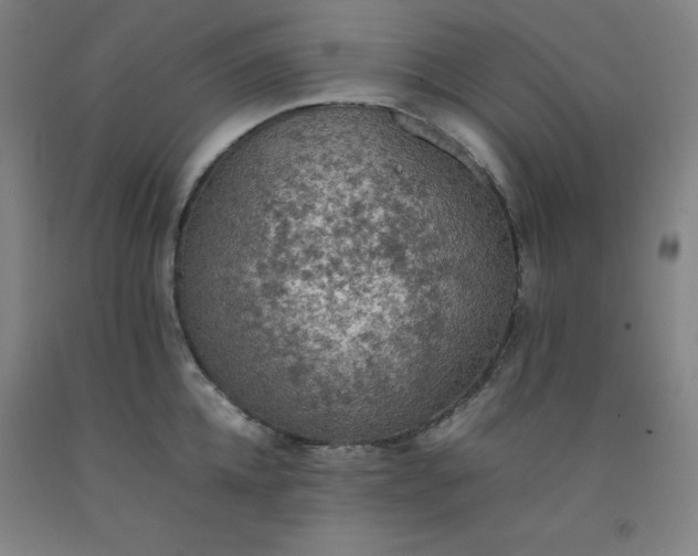 X0000092220952200709281040