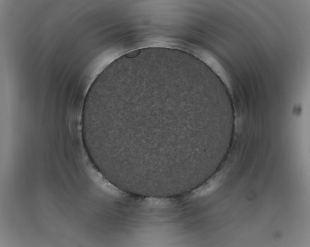 X0000092220954200709281040
