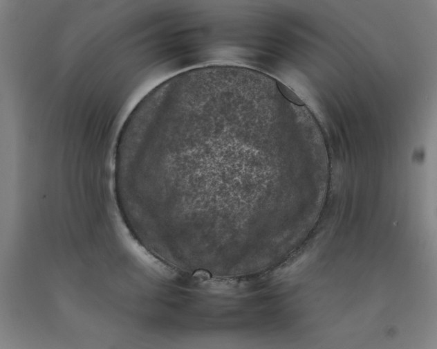 X0000092220955200709281040