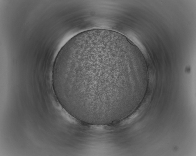 X0000092220956200709281040