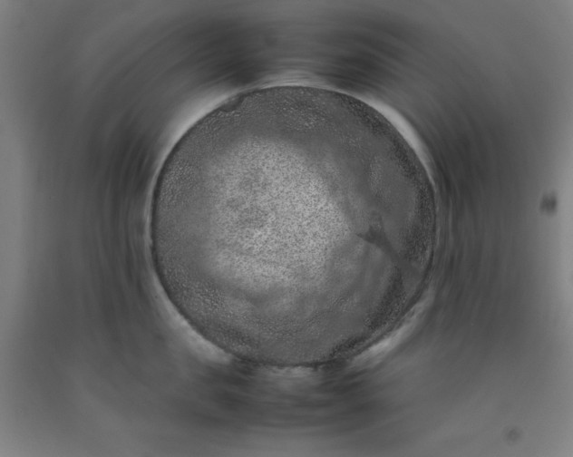 X0000092220957200709281040