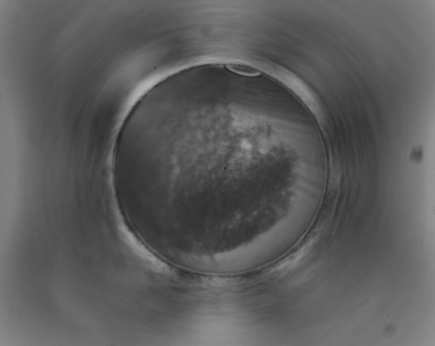 X0000092220958200709281040