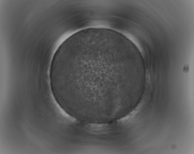 X0000092220959200709281040
