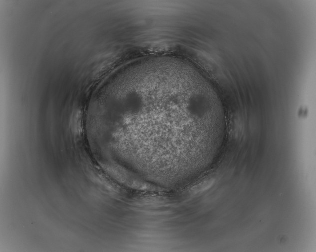 X0000092220962200709281040