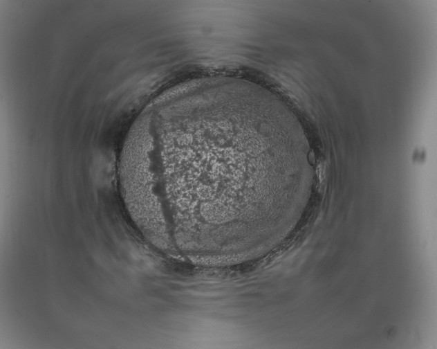 X0000092220963200709281040