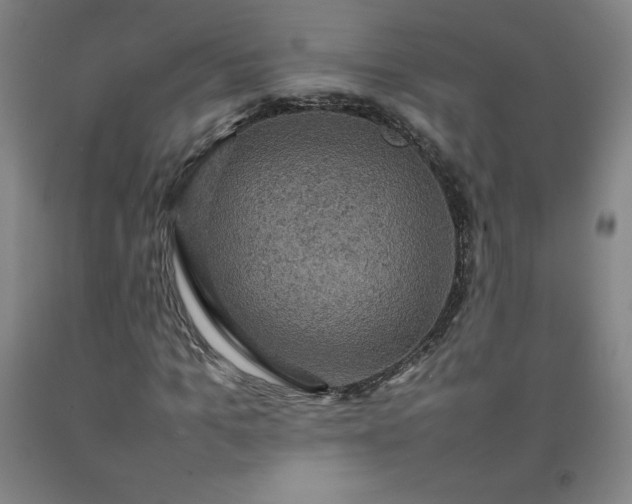 X0000092220965200709281040