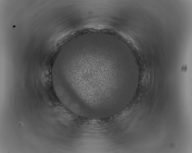 X0000092220966200709281040