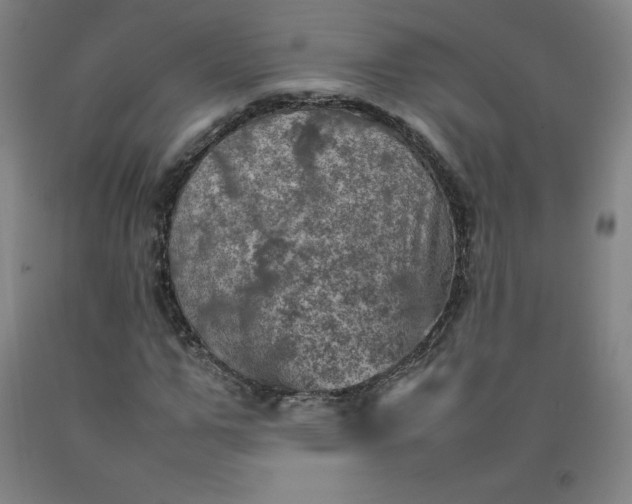 X0000092220967200709281040