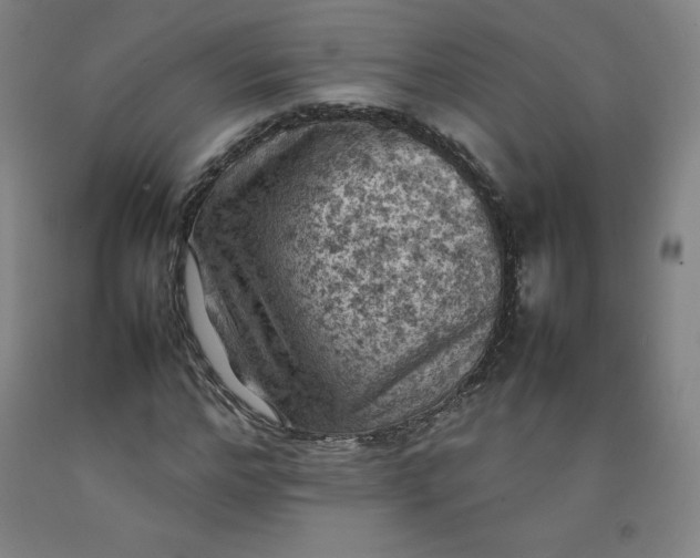 X0000092220968200709281040