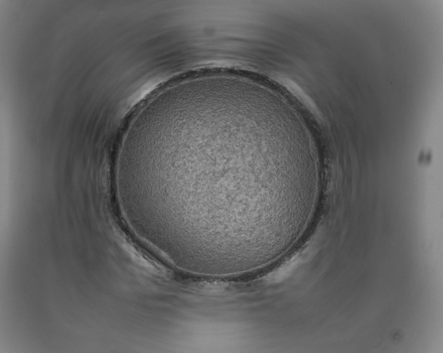 X0000092220969200709281040