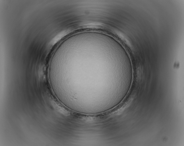 X0000092220970200709281040