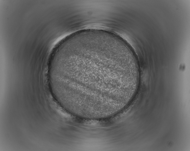 X0000092220971200709281040