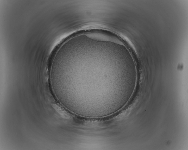 X0000092220973200709281040