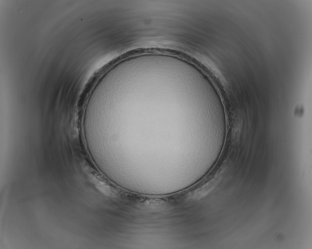 X0000092220974200709281040